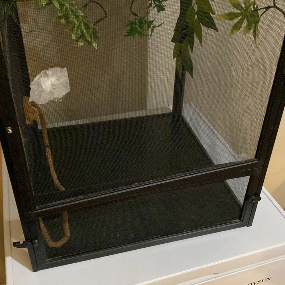 Reptile terrarium